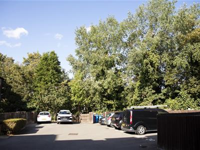Picture 15